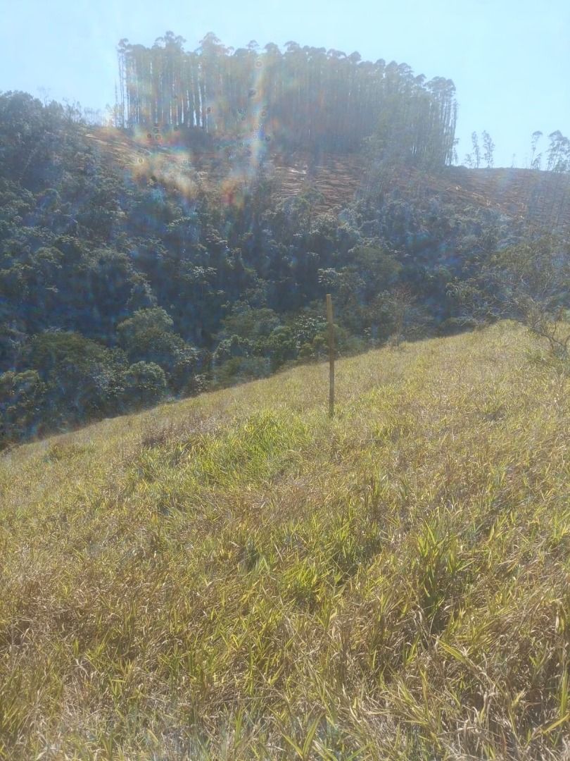 FOTO_1 - 1