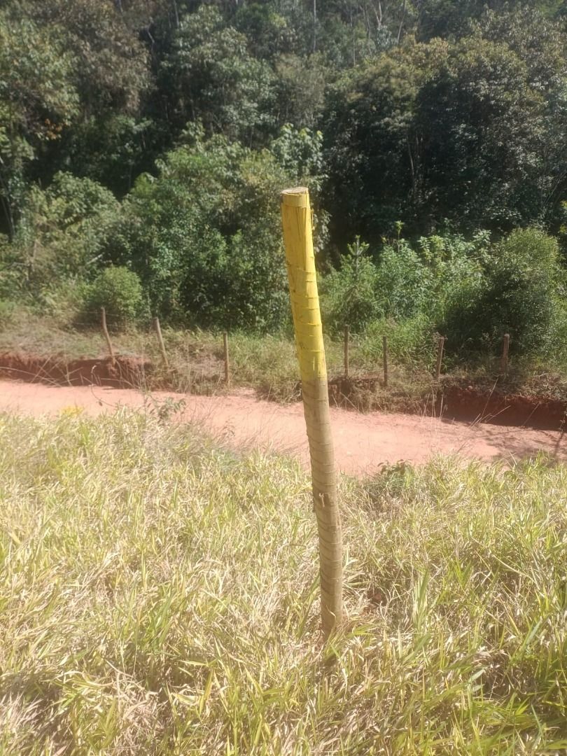 FOTO_4 - 4