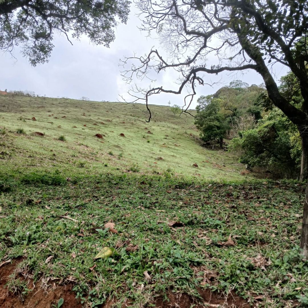 FOTO_4 - 4