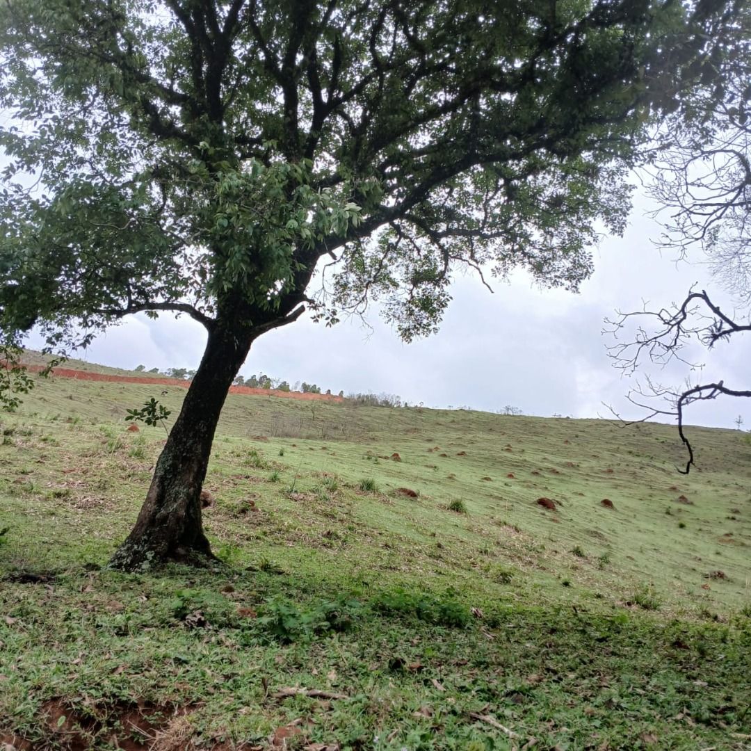 FOTO_6 - 6