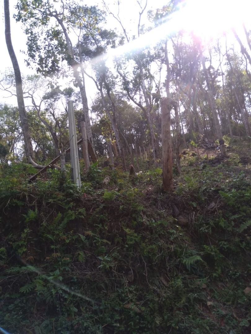 FOTO_13 - 13