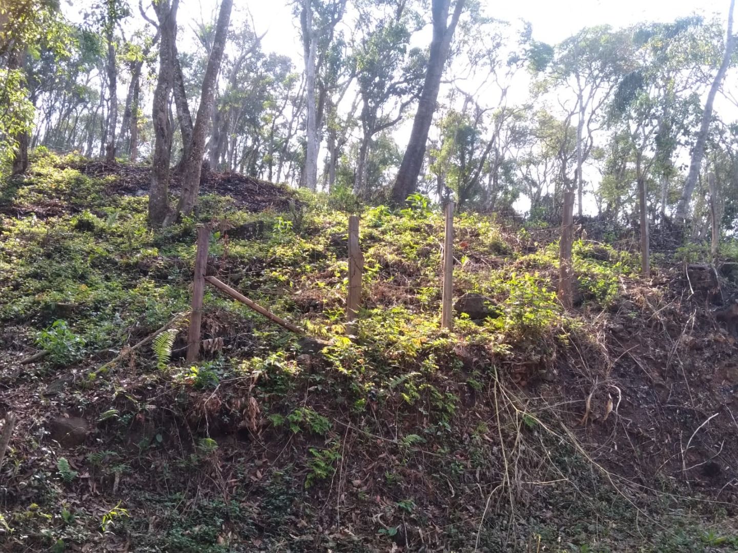 FOTO_4 - 4