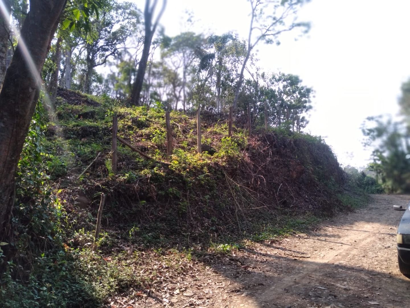 FOTO_5 - 5