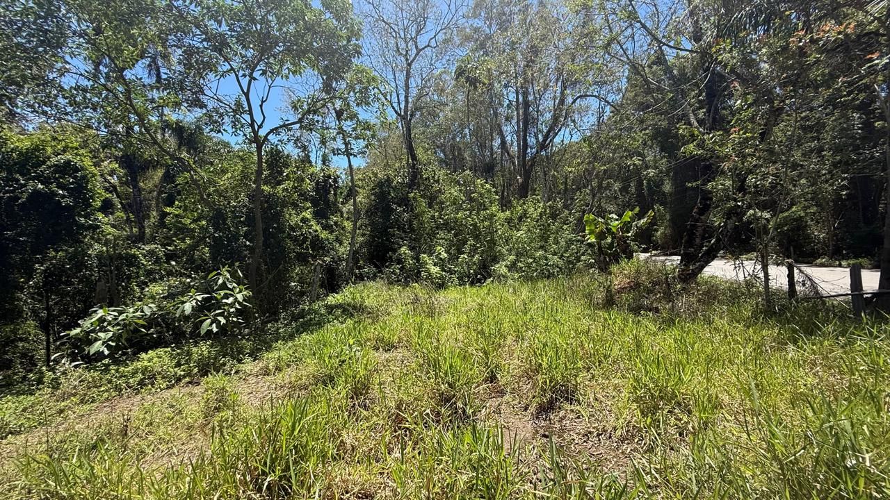 FOTO_28 - 28