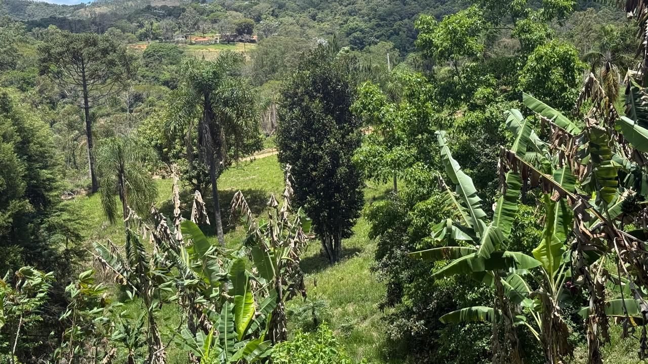 FOTO_7 - 7