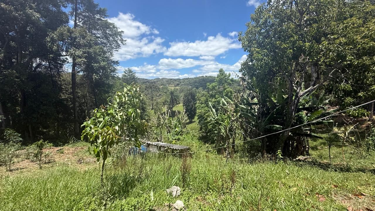 FOTO_8 - 8
