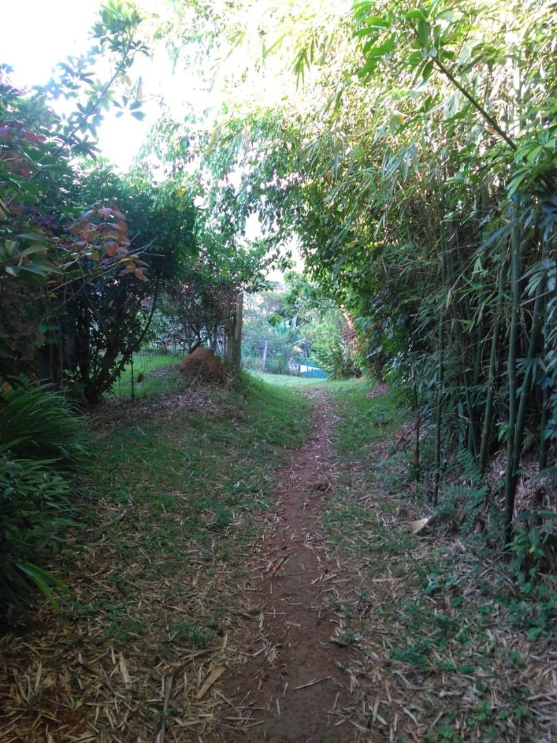 FOTO_14 - 14