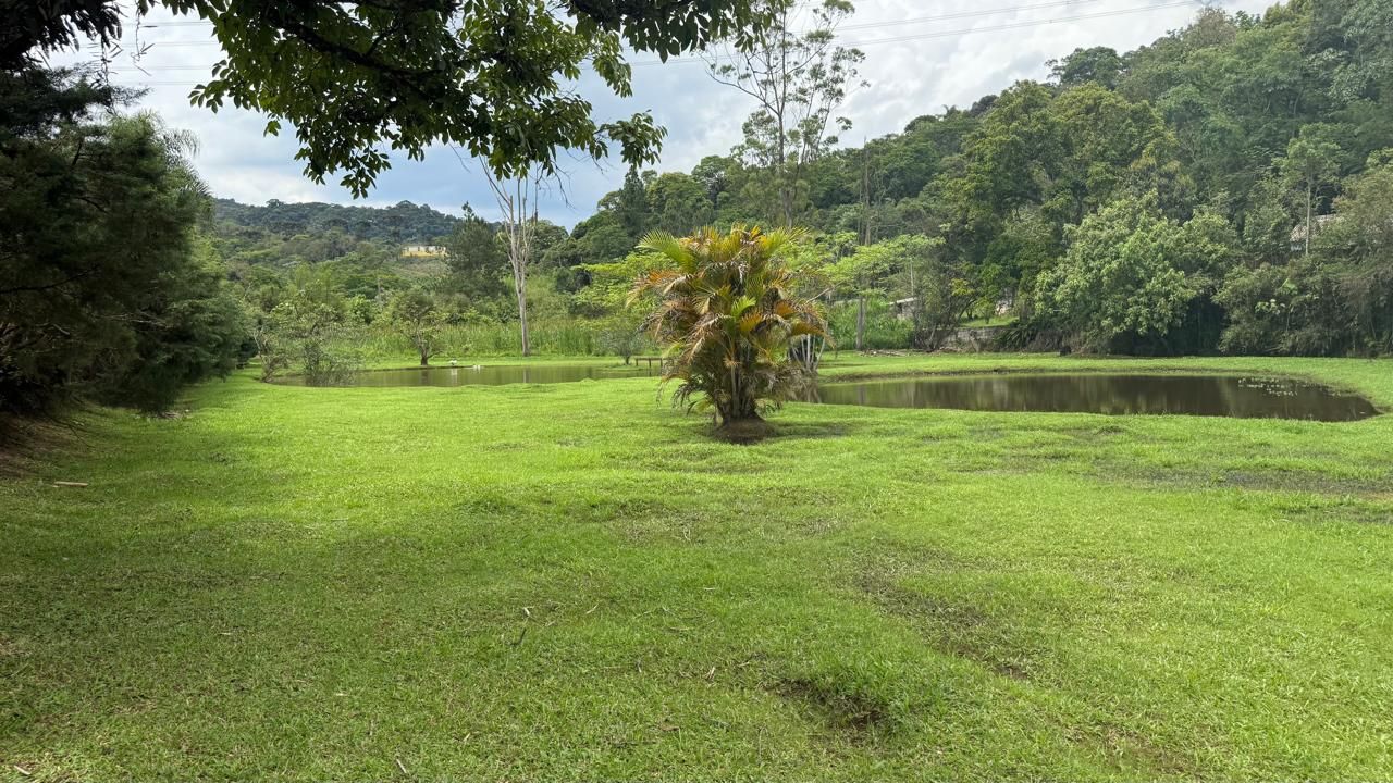 FOTO_1 - 1
