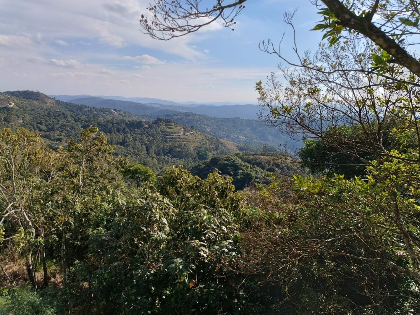 FOTO_10 - 10