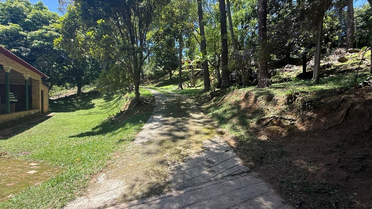 FOTO_6 - 6
