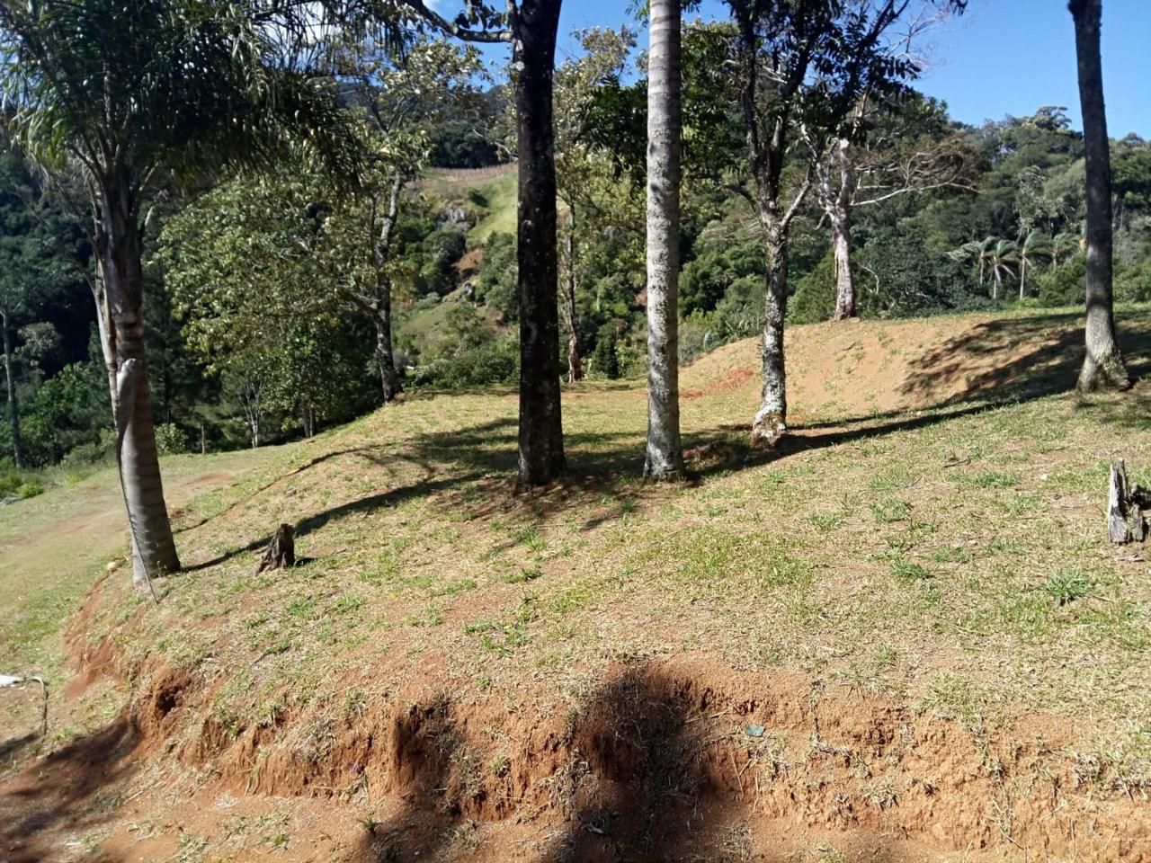 FOTO_4 - 4