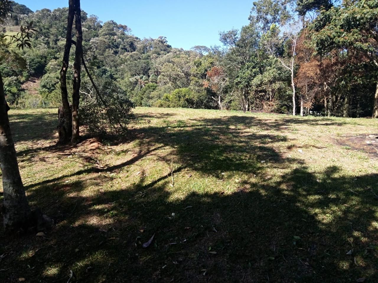 FOTO_5 - 5