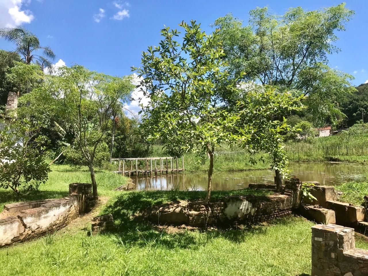 FOTO_1 - 1