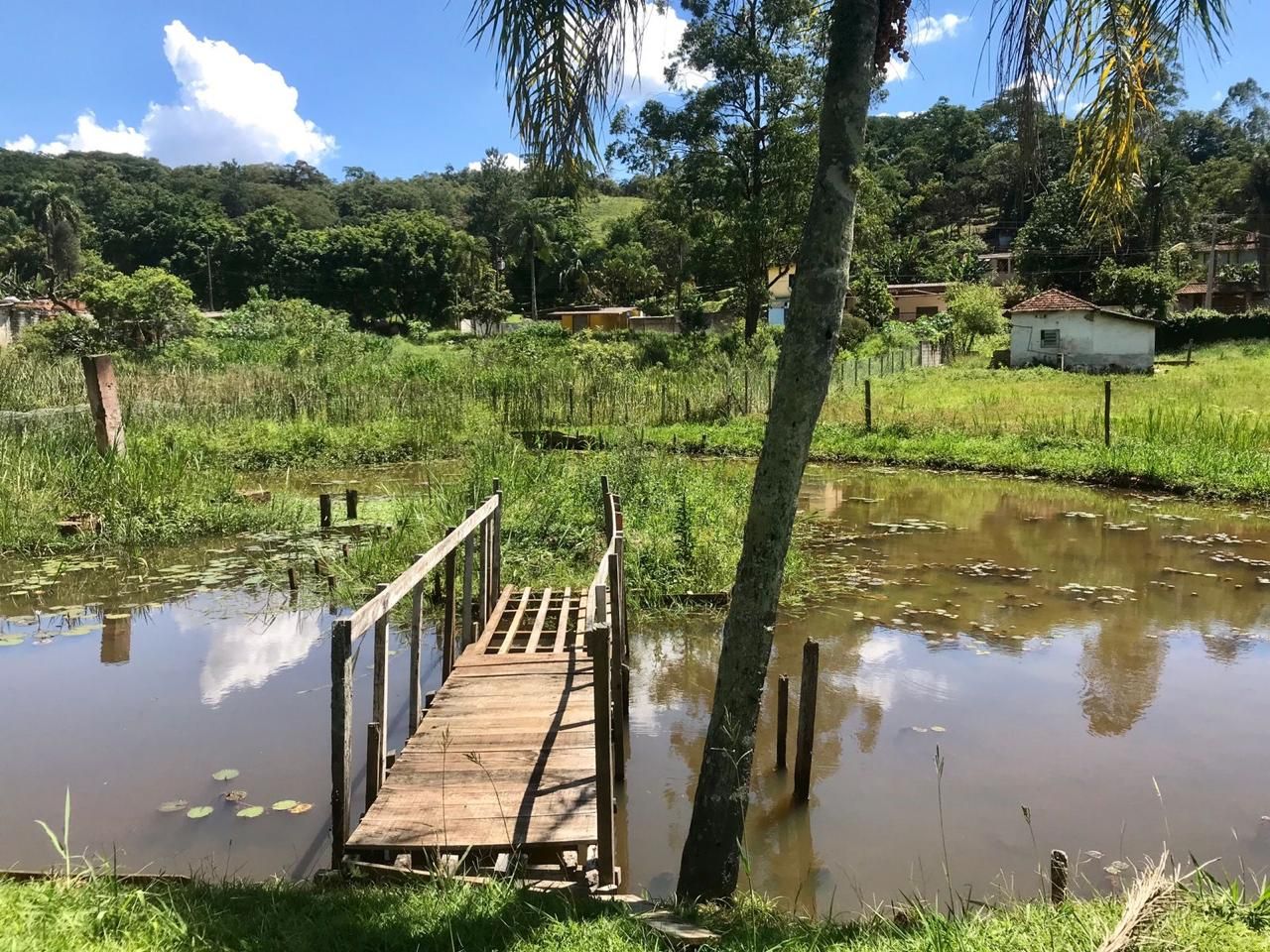 FOTO_10 - 10