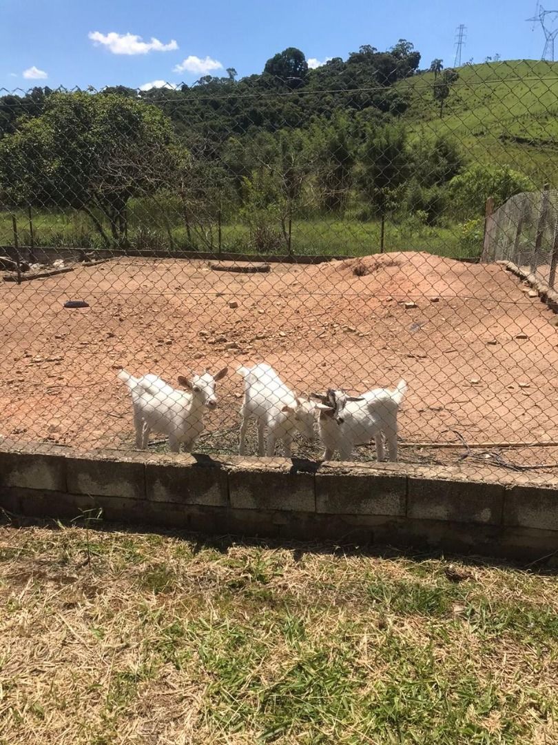 FOTO_4 - 4