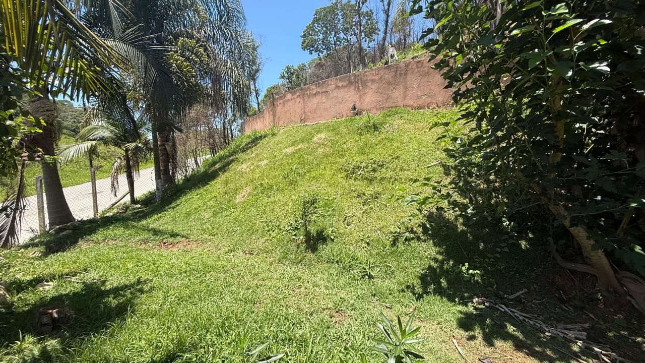 FOTO_8 - 8