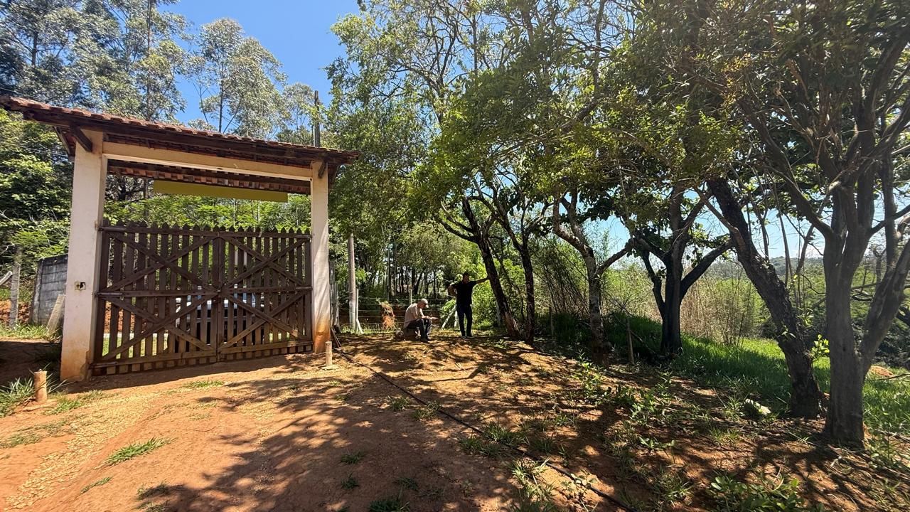 FOTO_12 - 12