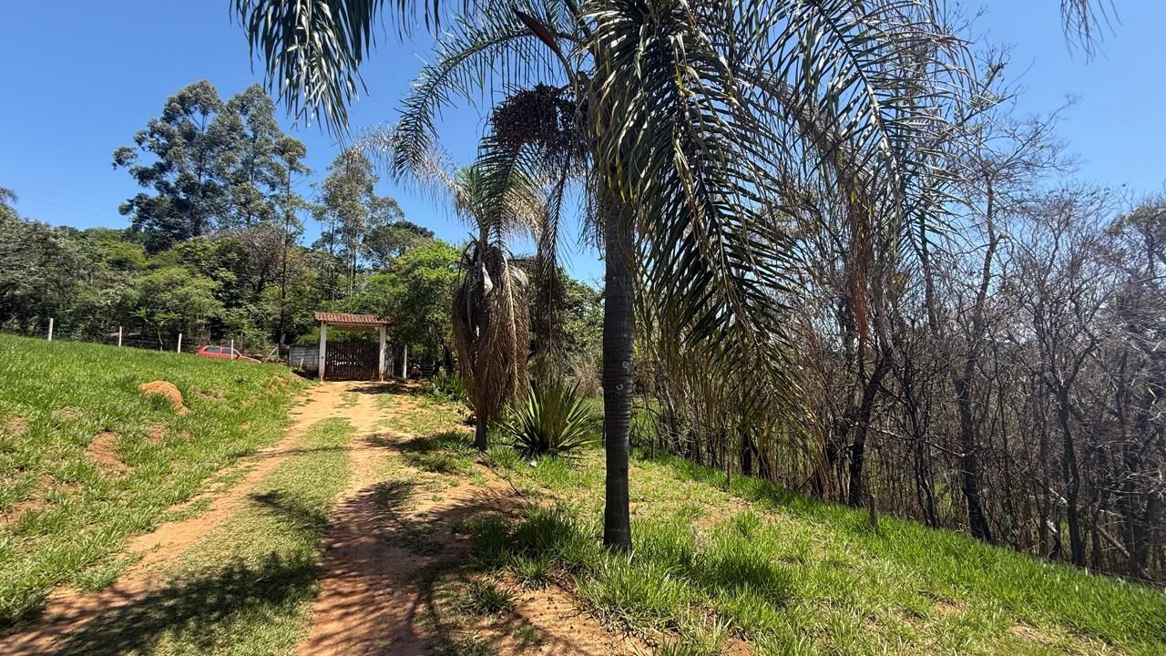 FOTO_15 - 15
