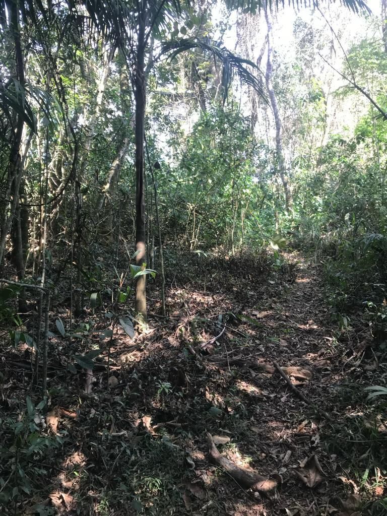 FOTO_3 - 3