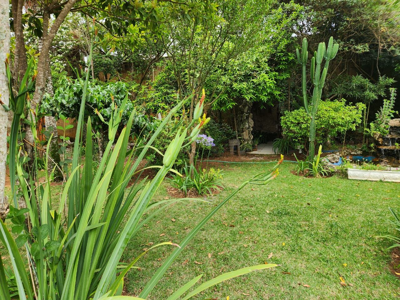 FOTO_5 - 5