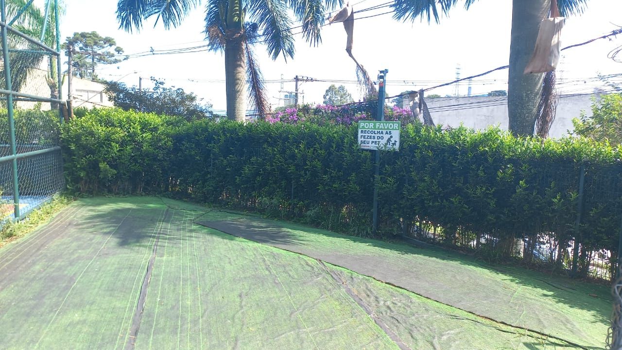 FOTO_11 - 11