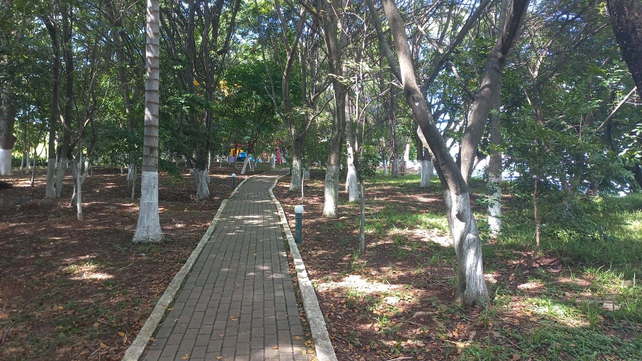 FOTO_12 - 12