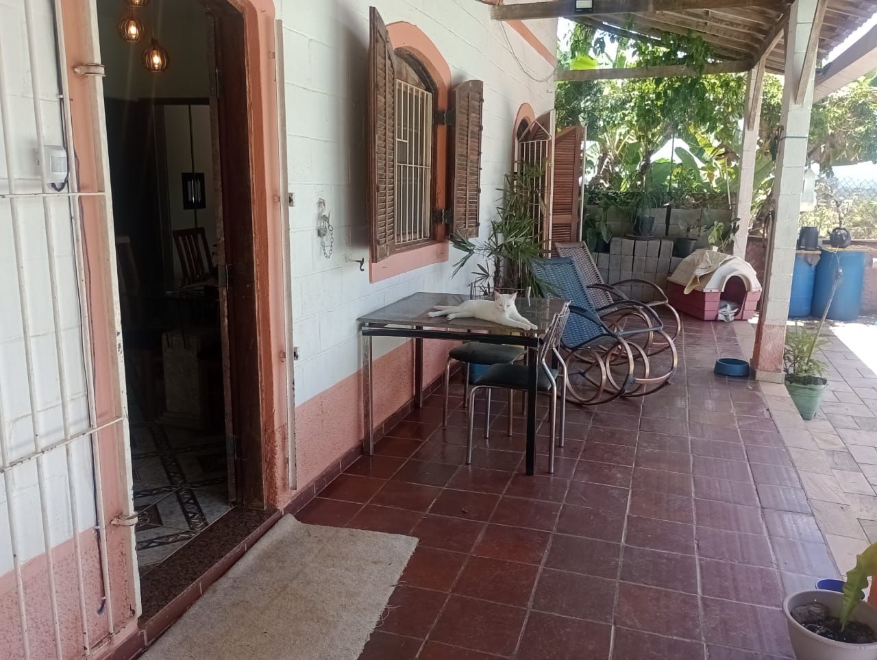 FOTO_10 - 10