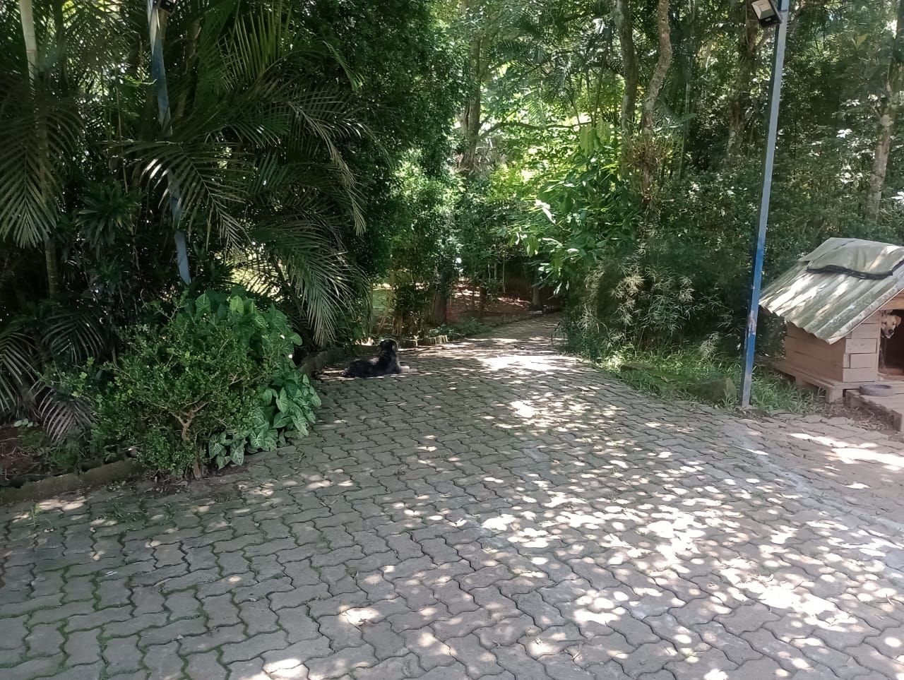 FOTO_11 - 11