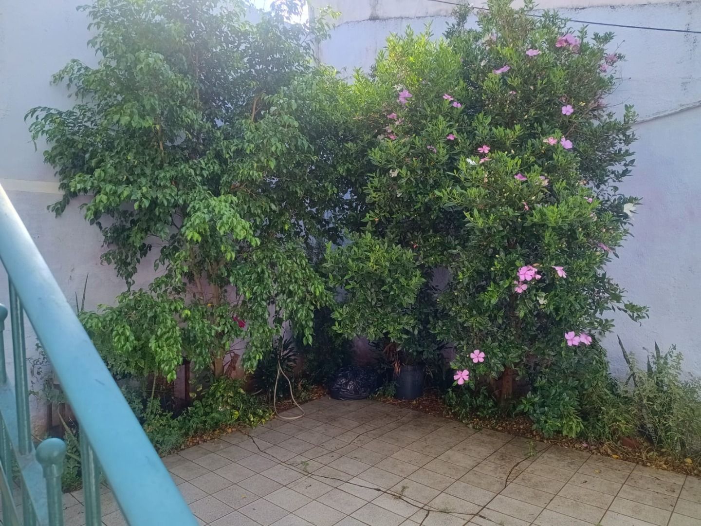 FOTO_3 - 3