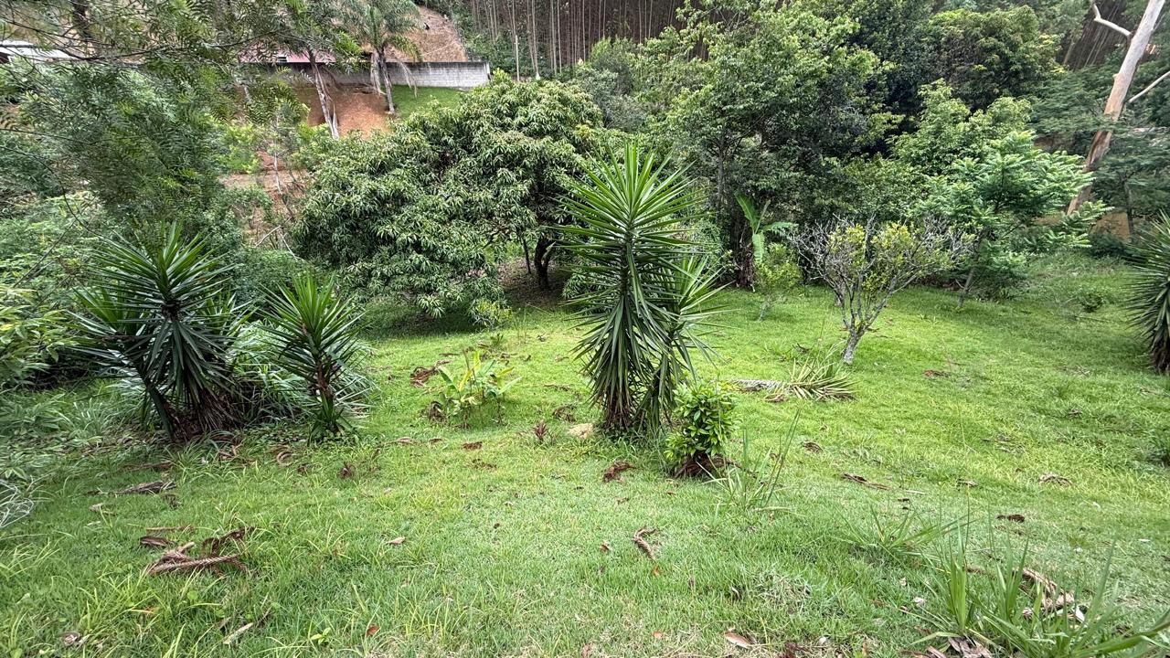 FOTO_15 - 15
