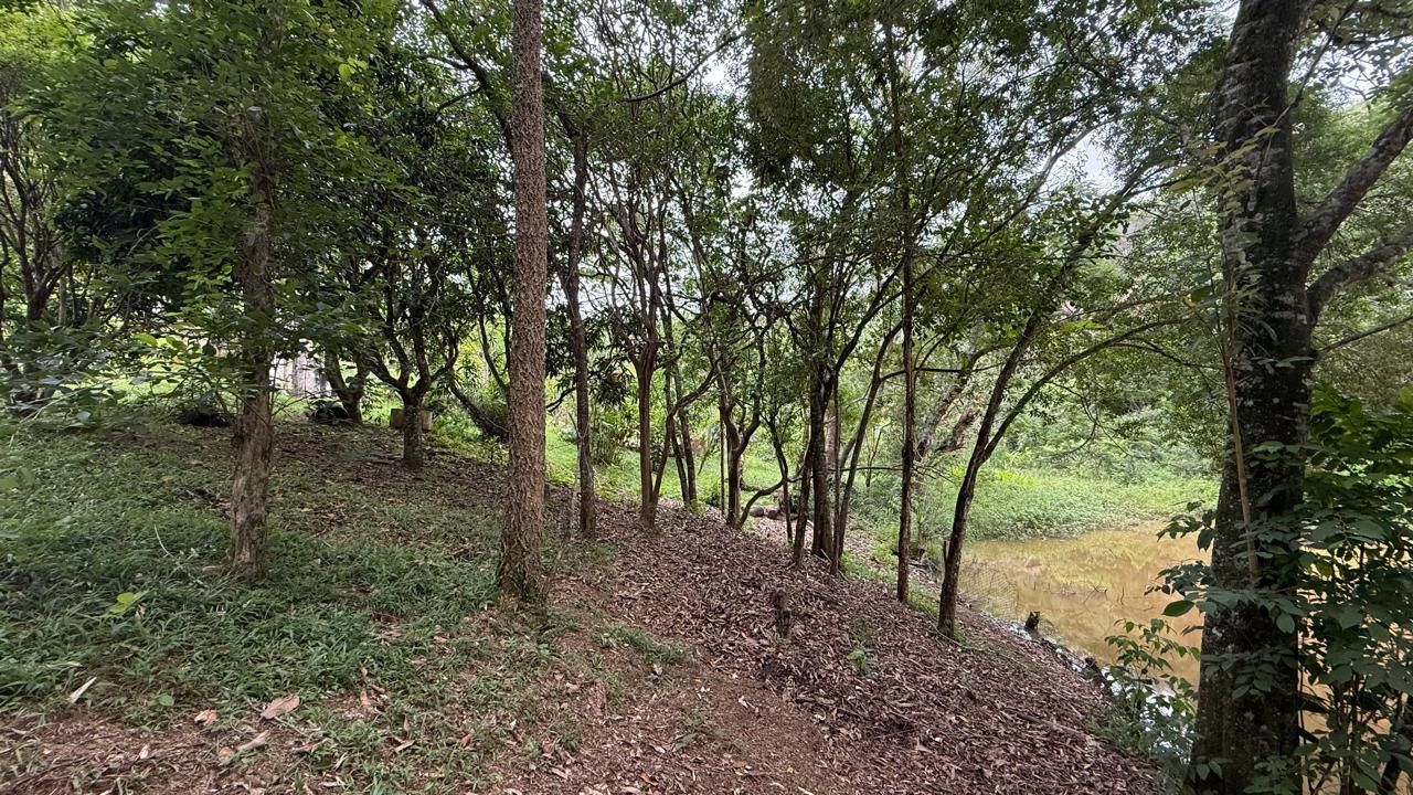 FOTO_4 - 4