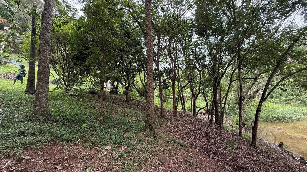 FOTO_5 - 5
