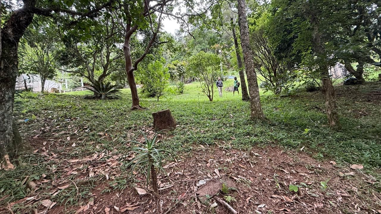 FOTO_6 - 6