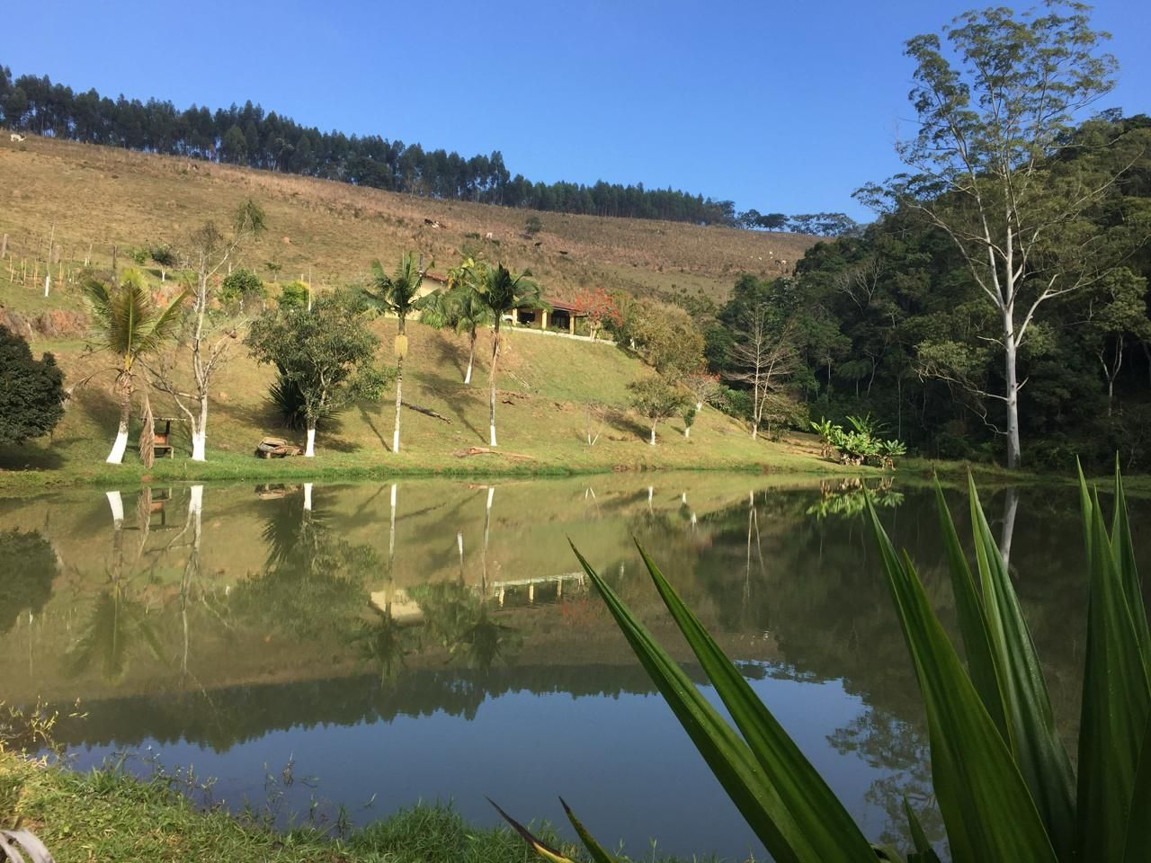 FOTO_21 - 21