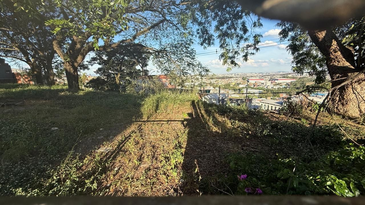 FOTO_5 - 5