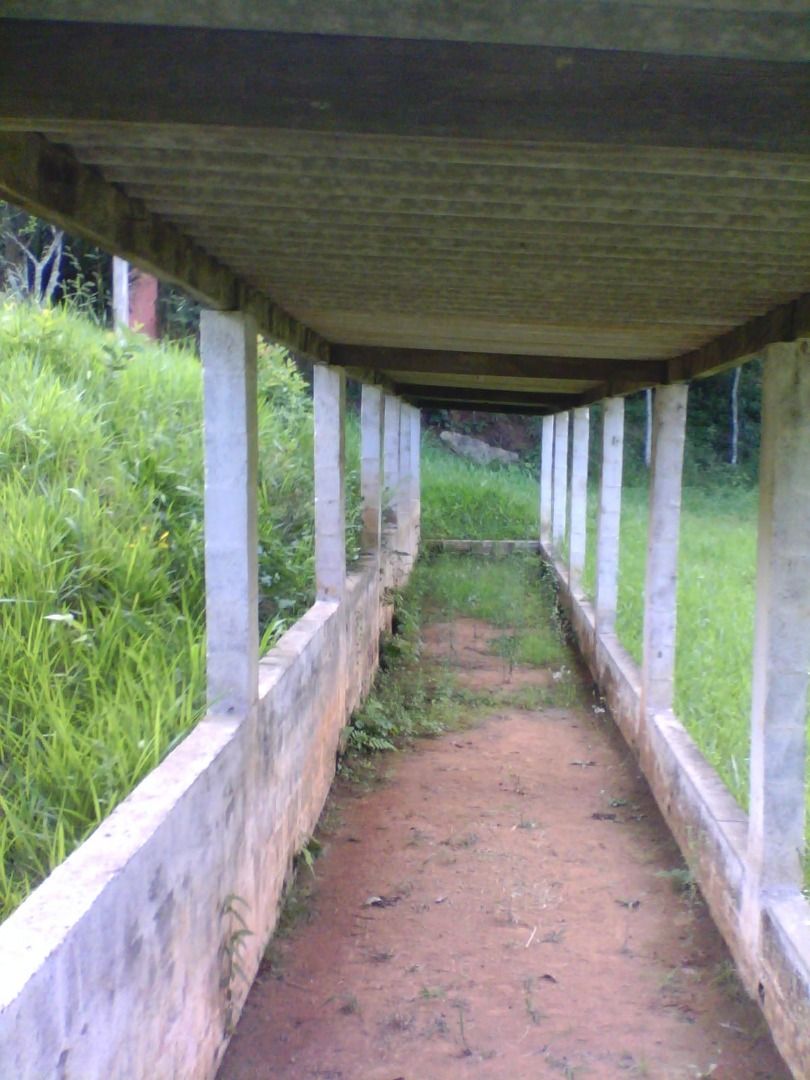FOTO_12 - 12