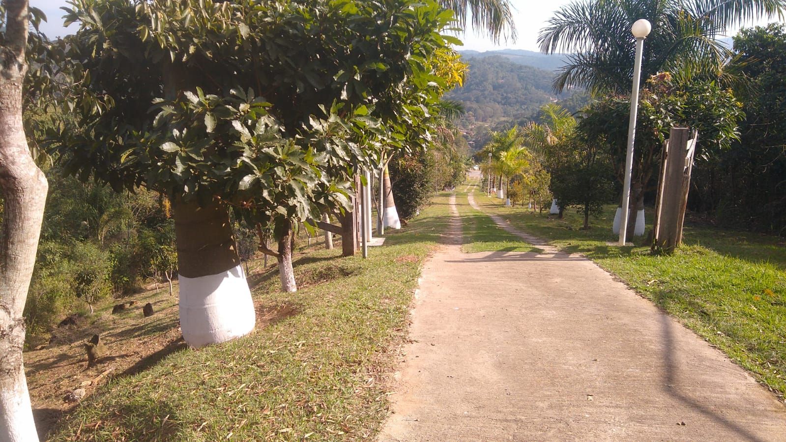 FOTO_4 - 4