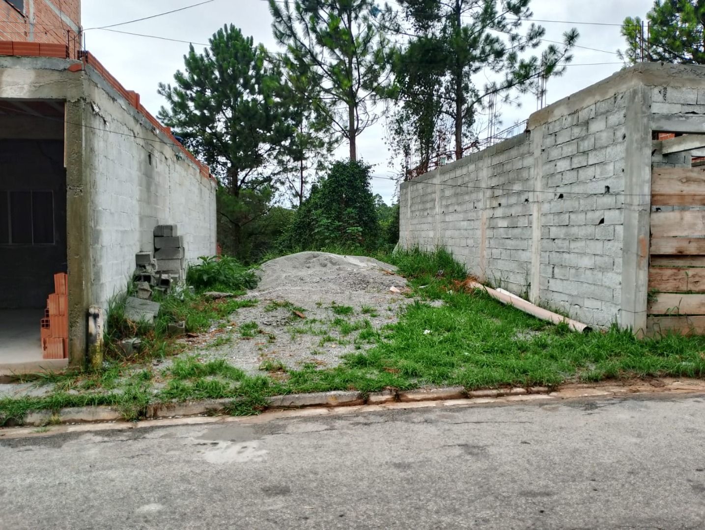 FOTO_1 - 1