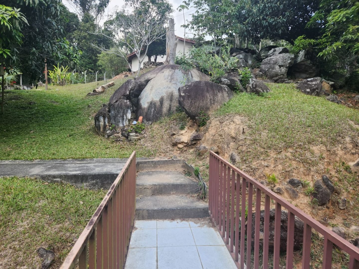 FOTO_1 - 1