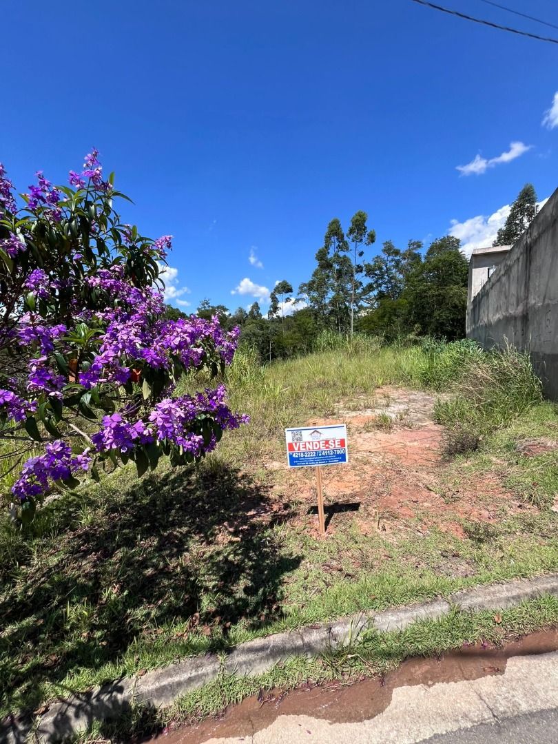 Conheça FOTO_6 do imóvel - Terreno Residencial à venda Jardim Lenize, Guarulhos - R$ 85.000 - TE0208 - 6 FOTO_6 - 6