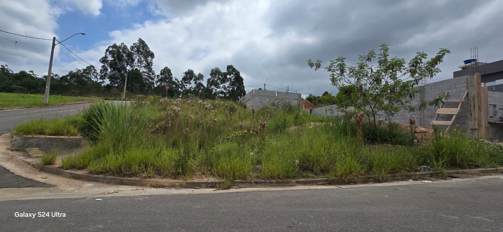 Conheça FOTO_7 do imóvel - Terreno Residencial à venda Jardim Lenize, Guarulhos - R$ 80.000 - TE0211 - 7 FOTO_7 - 7