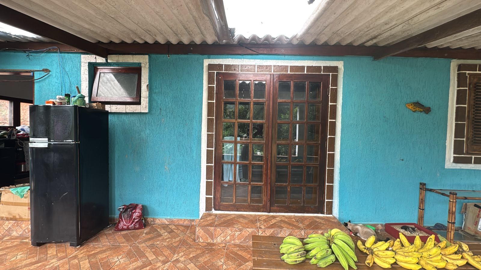FOTO_1 - 1