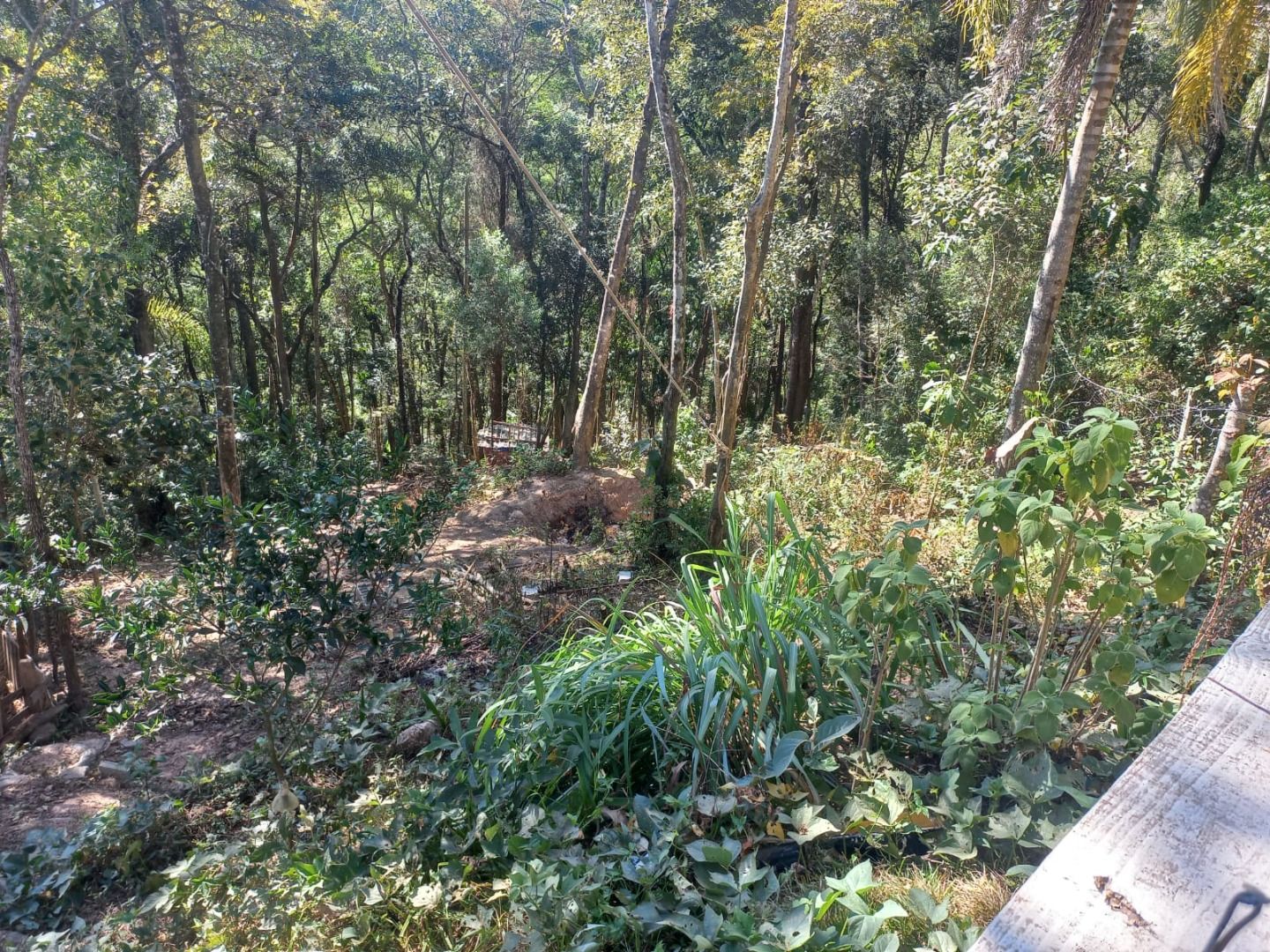 FOTO_3 - 3