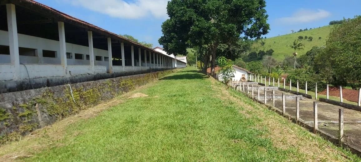 FOTO_12 - 12