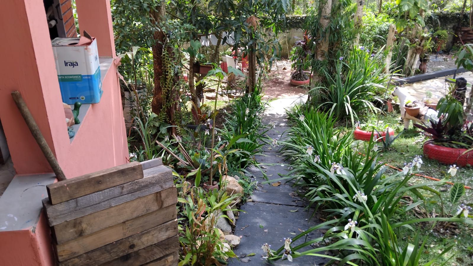 FOTO_12 - 12