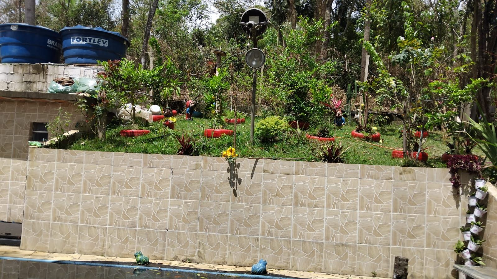 FOTO_15 - 15