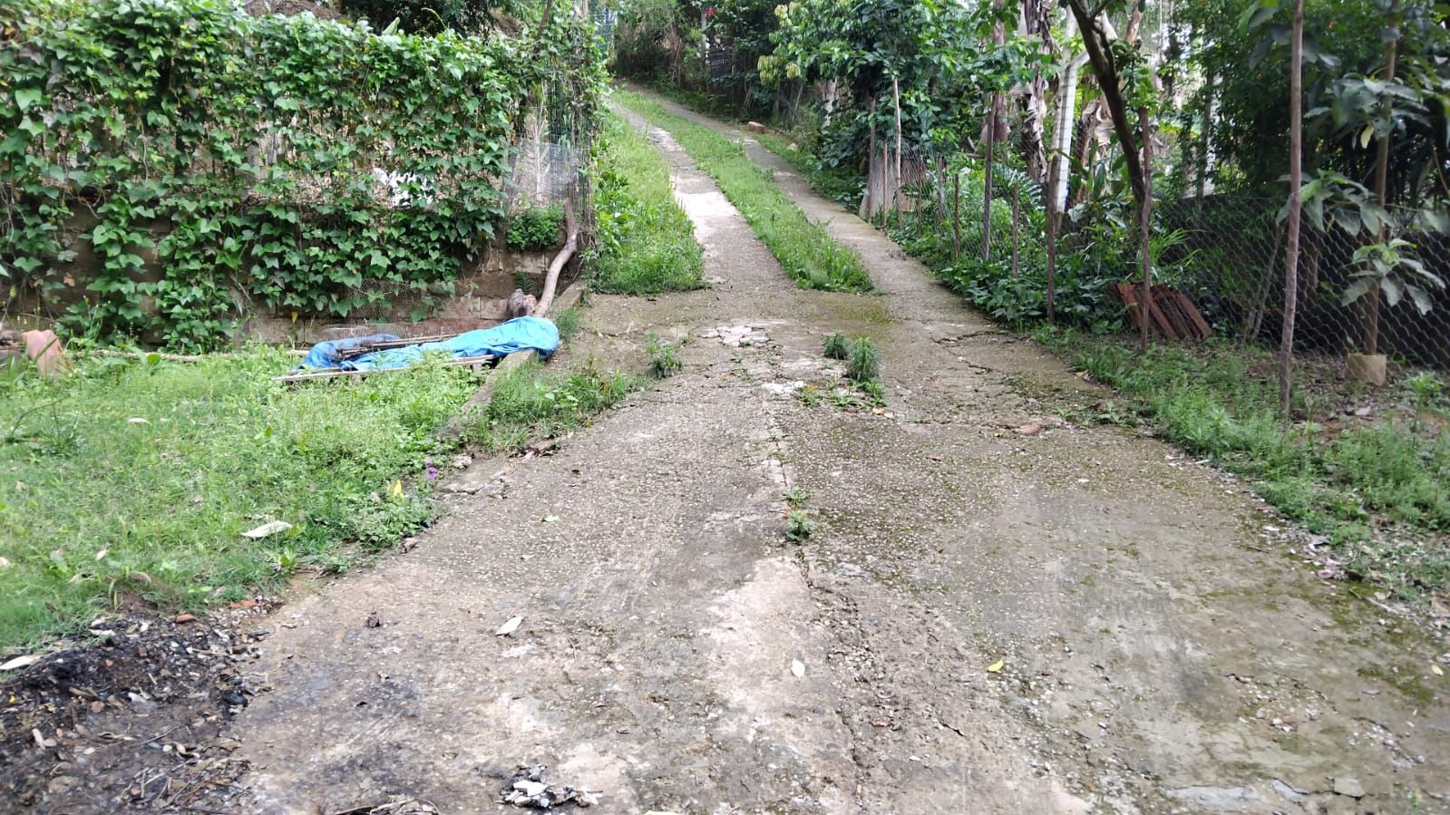 FOTO_2 - 2