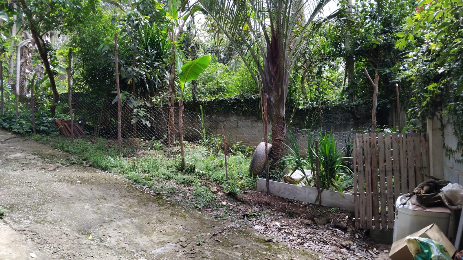 FOTO_3 - 3