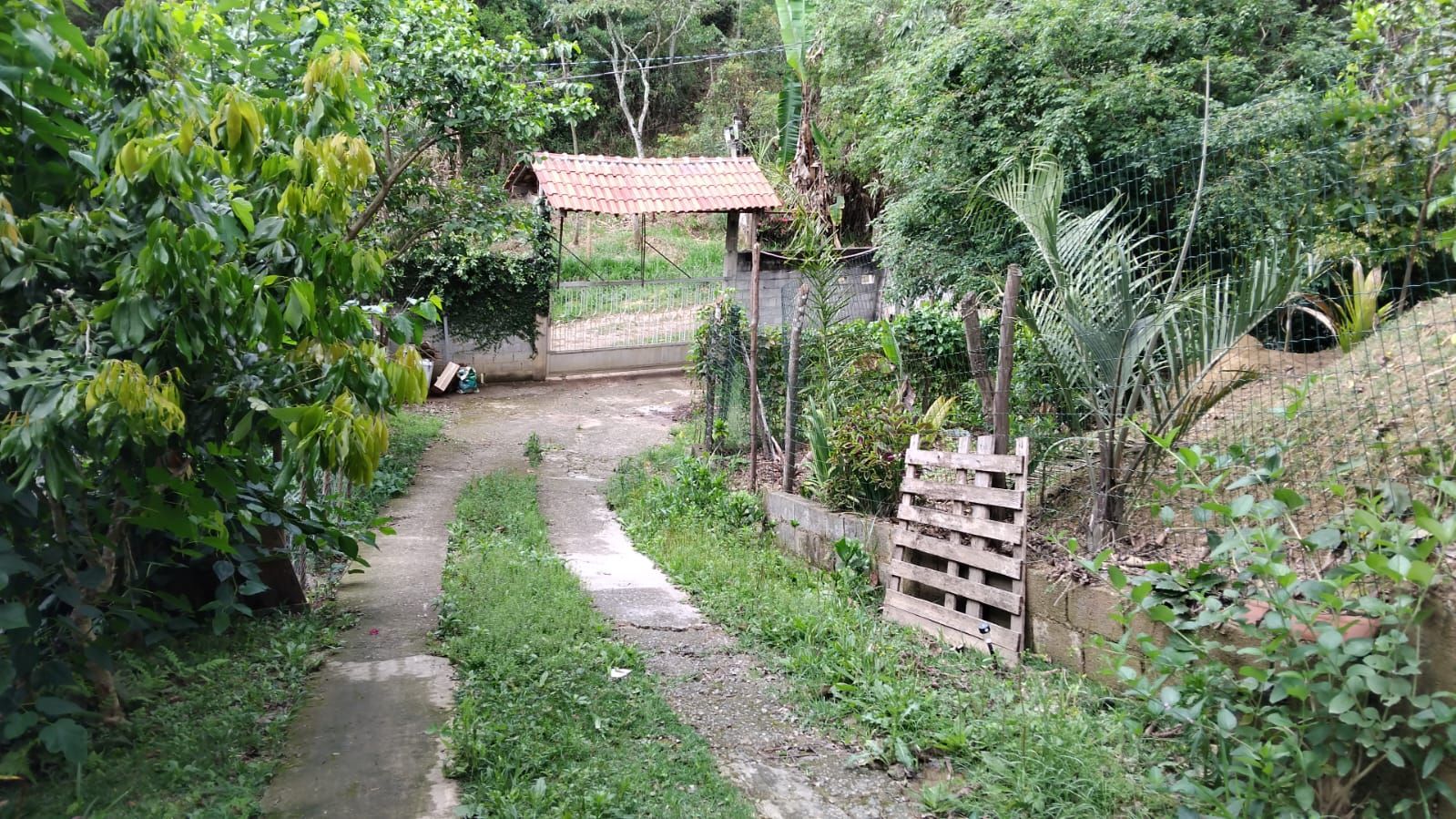 FOTO_5 - 5
