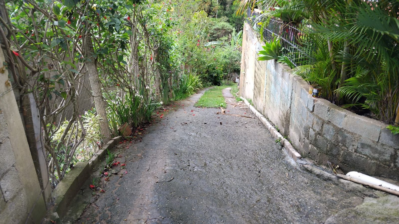 FOTO_6 - 6